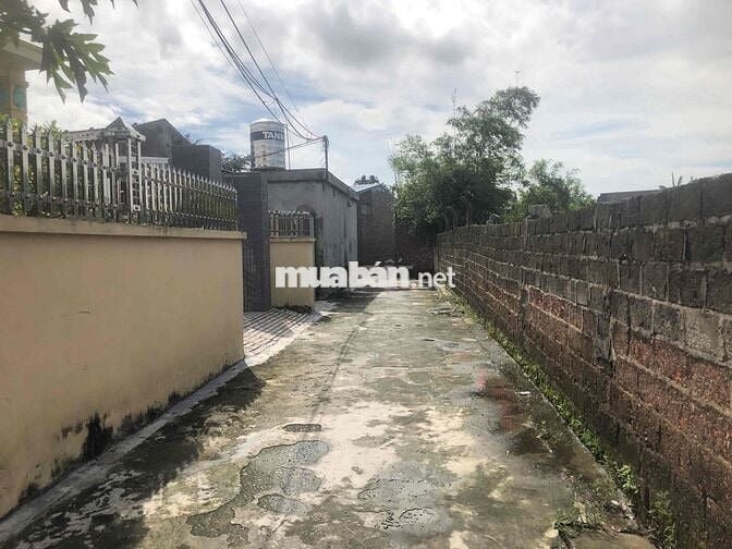 Đất 50m2 HXH gần đường trục xã Đại Bản, An Dương chỉ 830 triệu