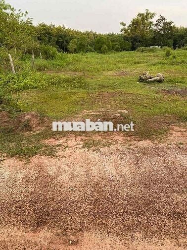 Xã Lộc Thành, Đnai 1,6ha cách QL13 6km giá 7,95tỷ