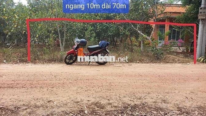 BÁN ĐẤT THỔ CƯ CHÍNH CHỦ,XÃ LONG VĨNH,GIÁP TP TÂY NINH