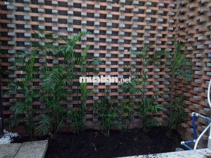 NHÀ 3LẦU SÂN ĐẬU OTO 4X17M 4PN 5WC HẺM 520 ĐỐI DIỆN VẠN PHÚC