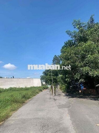 135m2 đất Tân An Hội mới mặt tiền đường 14m - SHR