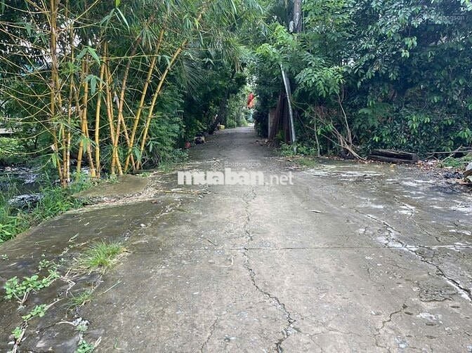 Bán 400m2 đất thổ cư MT kênh An Phú Đông sát bờ sông Sài Gòn giá 13 tỷ