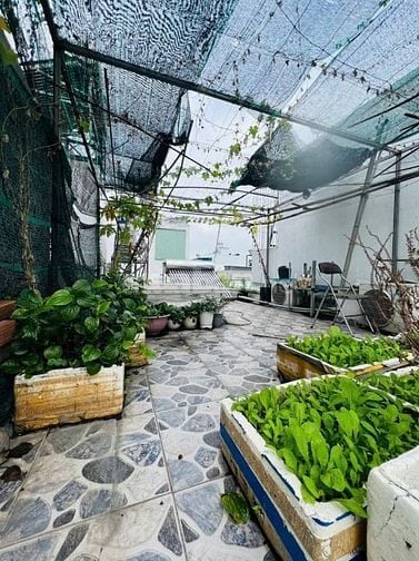 bán nhà DT 4,10M X 15,8M ĐƯỜNG HẺM Ô TỖ XE TẢI, PHẠM VĂN CHIÊU, EMART
