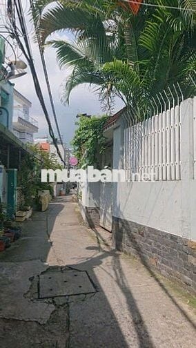 CHO THUÊ NHIỀU TẦM GIÁ . P 15 Q8 .