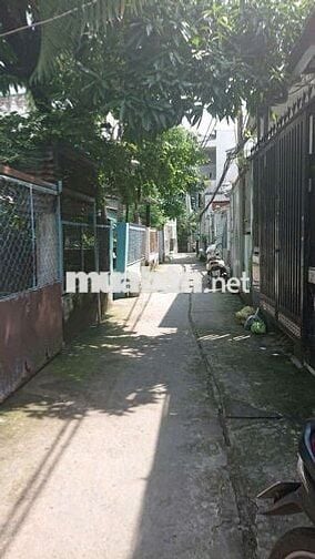 CHO THUÊ NHIỀU TẦM GIÁ . P 15 Q8 .
