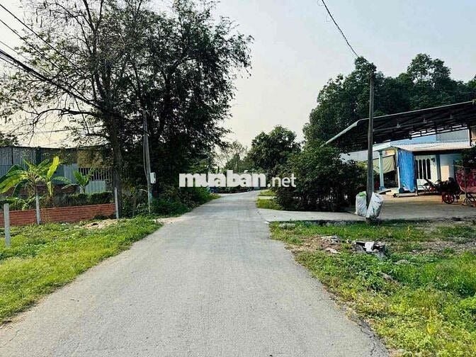136m2 đất thổ cư MT Cây Da Tân Phú Trung - SHR