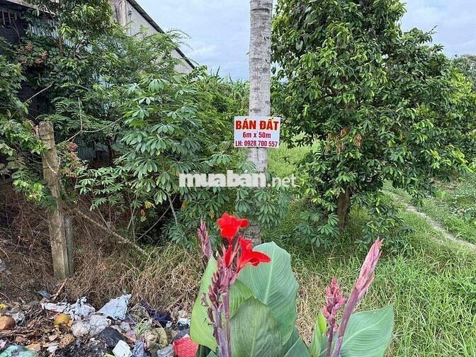 Bán đất mặt tiền Quốc lộ 54 phường Đông Thành