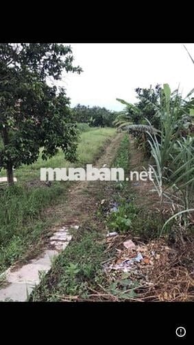 Bán đất mặt tiền Quốc lộ 54 phường Đông Thành