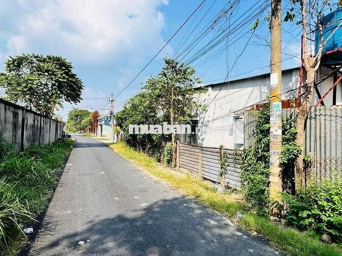 ĐẤT NGỘP GIÁ RẺ NỞ HẬU TỐT 7,5X26 GIÁ 380TR RA LUÔN SỔ CÔNG CHỨNG LIỀN