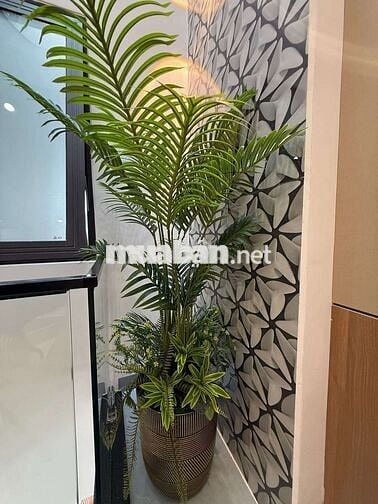 Nhà 3 Tầng Mặt Tiền Hòa Minh Gần Biển Nguyễn Tất Thành