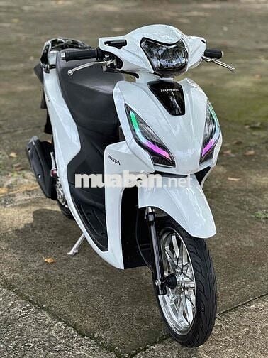 Vision 2019 Smarkey kiểng có góp