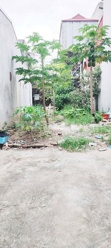Bán Đất, Ngõ Ô TÔ, Thuận Thành, Bắc Ninh 99m, mt 5.2m, giá 5.2 tỷ.