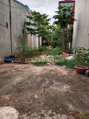 Bán Đất, Ngõ Ô TÔ, Thuận Thành, Bắc Ninh 99m, mt 5.2m, giá 5.2 tỷ.