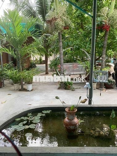 Homstay có nhà nguyên căn và phòng trọ cho thuê