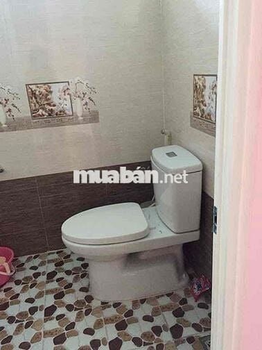 Homstay có nhà nguyên căn và phòng trọ cho thuê