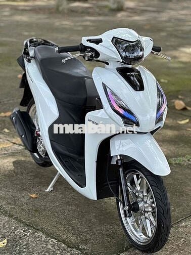 Vision 2019 Smarkey kiểng có góp