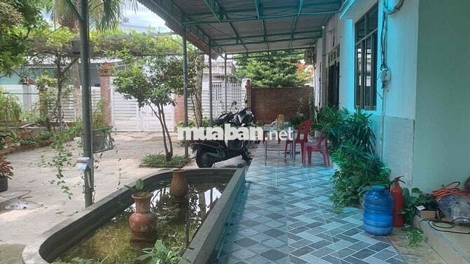 Homstay có nhà nguyên căn và phòng trọ cho thuê