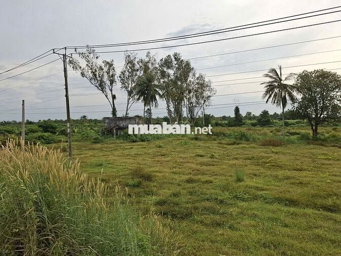 1.2 mẫu, mặt tiền kênh Đông, ngay KCN. 150TR (1m)