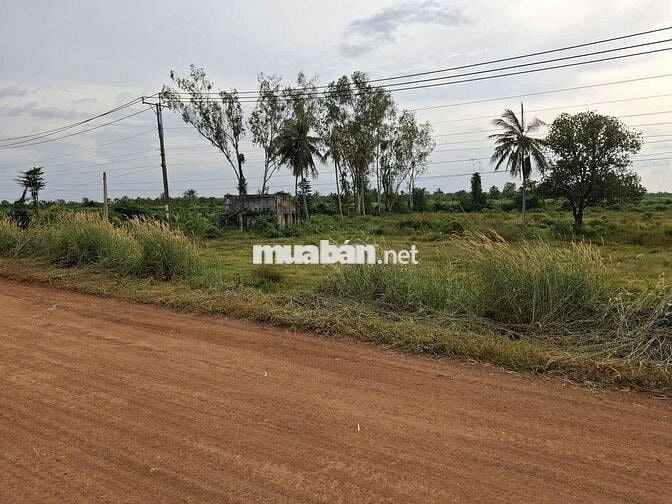 1.2 mẫu, mặt tiền kênh Đông, ngay KCN. 150TR (1m)