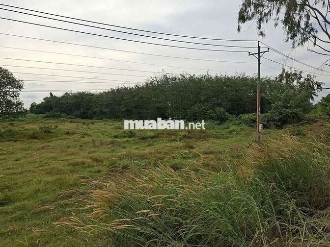 1.2 mẫu, mặt tiền kênh Đông, ngay KCN. 150TR (1m)