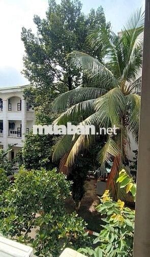 Studio Cửa Sổ Trời Siêu Thoáng – Khu Sân Bay Tân Sơn Nhất, Tân Bình