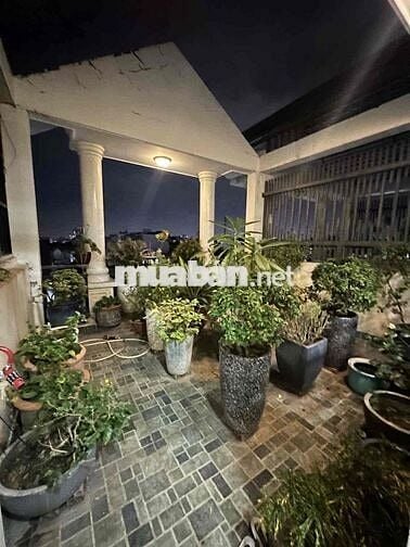 SIÊU PHẨM NHÀ ĐẸP TỪNG CENTIMET - KTS THIẾT KẾ - MẶT TIỀN HXT TRÁNH 10