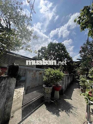 410m2(22 x19) - TRẦN VĂN GIÀU - BÌNH CHÁNH - THỔ CƯ 230M