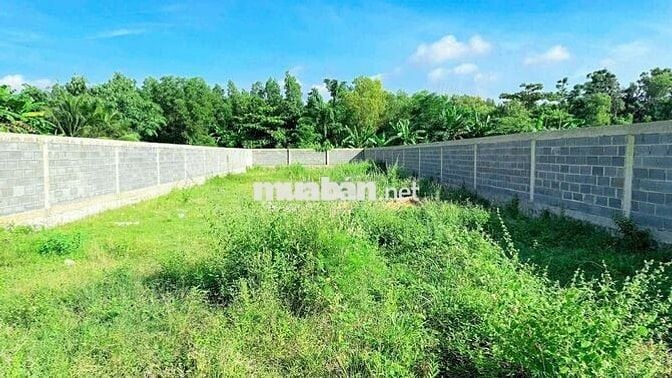 Mặt tiền Đoàn Trung Còn, ngay sát Tỉnh lộ 52
DT 654M2 -12.5m x 52,8m