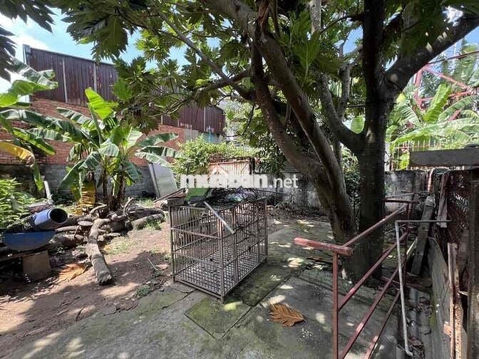 410m2(22 x19) - TRẦN VĂN GIÀU - BÌNH CHÁNH - THỔ CƯ 230M
