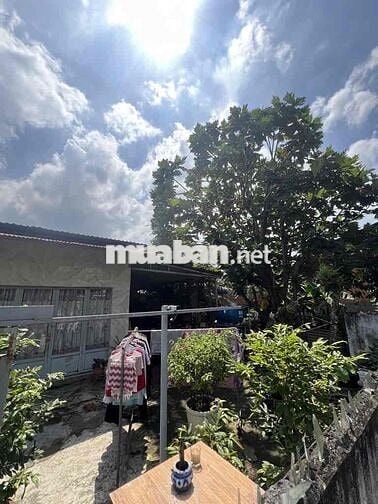 410m2(22 x19) - TRẦN VĂN GIÀU - BÌNH CHÁNH - THỔ CƯ 230M