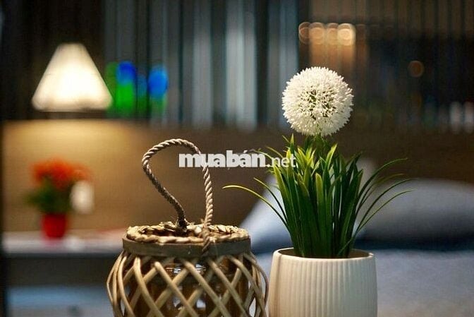 KHAI TRƯƠNG CHO THUÊ PENTHOUSE FULL NỘI THẤT CAO CẤP - NGÃ TƯ BẢY HIỀN