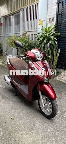 Can ban leed 2023 bstp