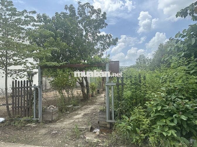 bán đất bình mỹ củ chi chính chủ
