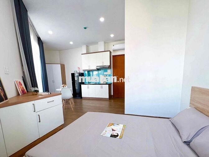 Cho Thuê Căn Hộ Chung Cư Mini Ban Công Ngay Cầu Ông Lãnh Quận 1 Giá Rẻ
