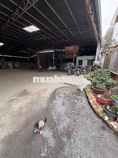 Cho Thuê Kho QL13 900m2 KHÔNG CẤM XE, cách mặt tiền đường QL 30m