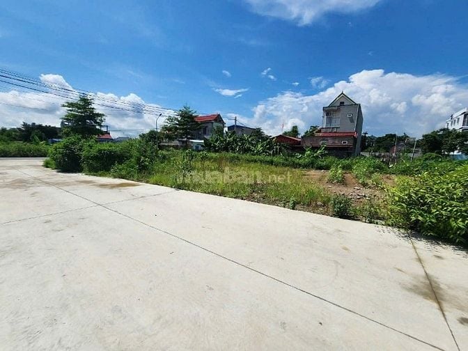 Cần bán lô đất trong khu đấu giá Kiến phong, Đồng Thái, An Dương,hp