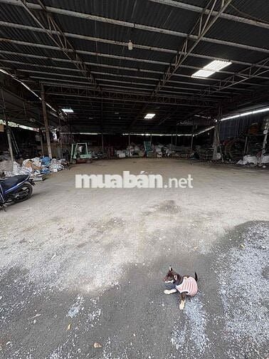 Cho Thuê Kho QL13 900m2 KHÔNG CẤM XE, cách mặt tiền đường QL 30m