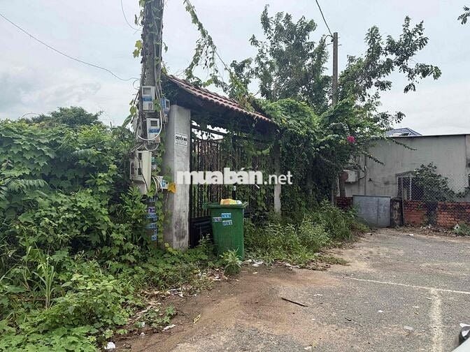 Bán Đất biệt thự nhánh đường số 3 Hoà Long , Bà Rịa
