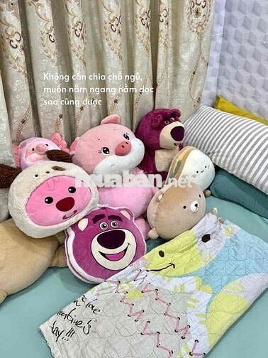 Vì sao khách sẽ chọn căn hộ Teddy 4 đến 20tr - Nhà ko chỉ là nơi để ở