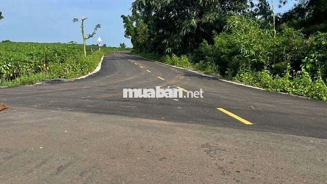 Bán Đất 3 lô liền kề Xây nhà trọ ngay cổng sau khu công nghiệp Đất đỏ