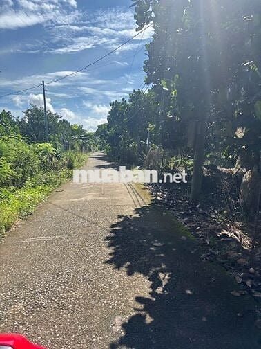 Bán Lô Đất 140m2 (5x28m), Full Thổ Cư, Sổ Hồng, Long Khánh, Đồng Nai