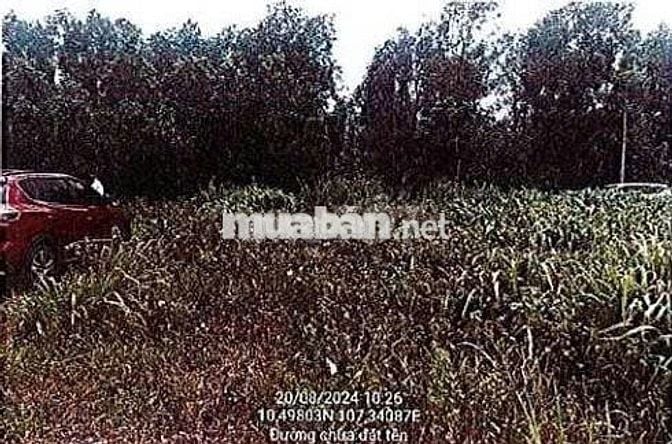 Bán ĐGTS đất tại TĐ số: 96, xã Đất Đỏ, TP. Hồ Chí Minh