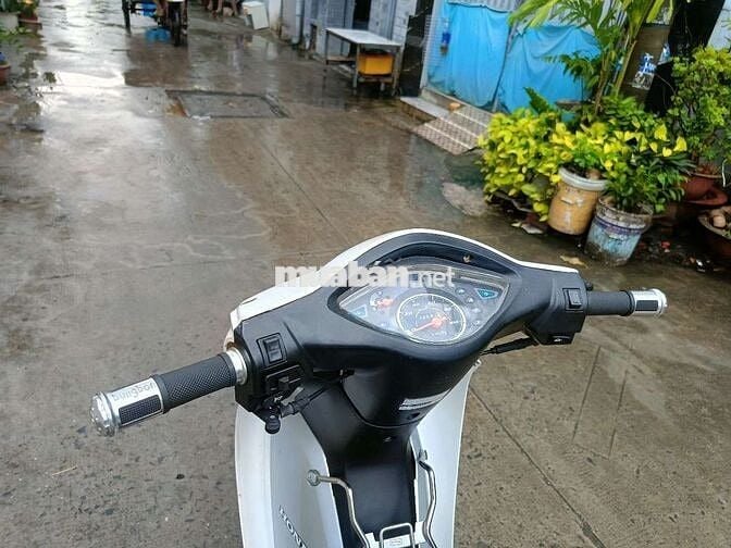 Wave 50cc  ko cần bằng lái