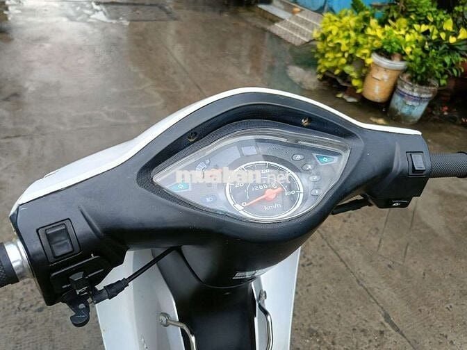 Wave 50cc  ko cần bằng lái