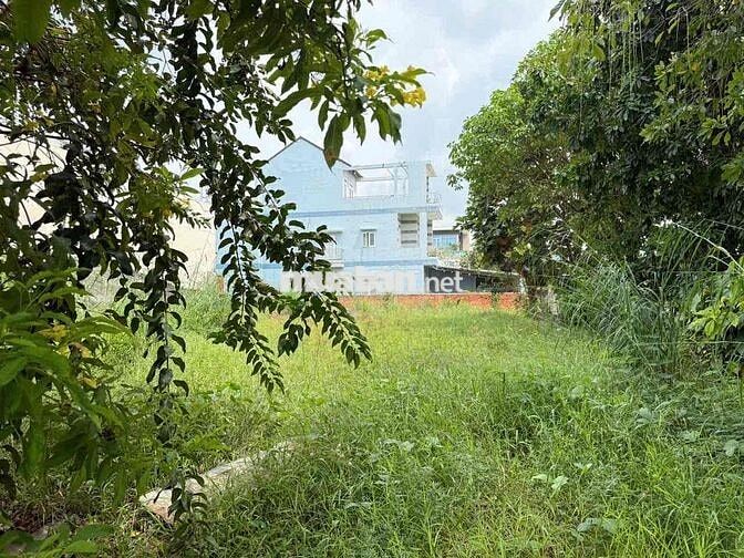 Cho thuê mặt bằng đất trống 3 Mặt Tiền ngay Phố Đi Bộ Bạch Đằng