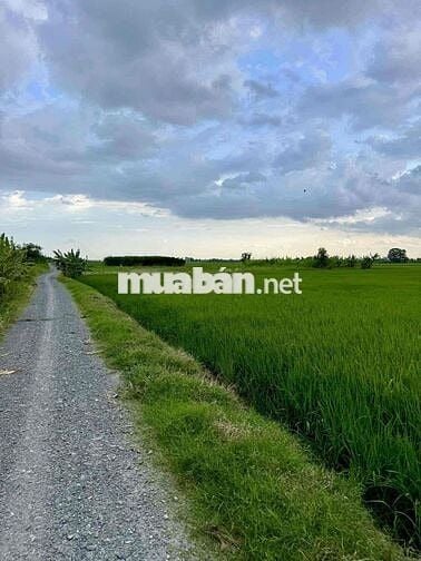 3000m2 đất Mặt Tiền kênh Bờ Bao