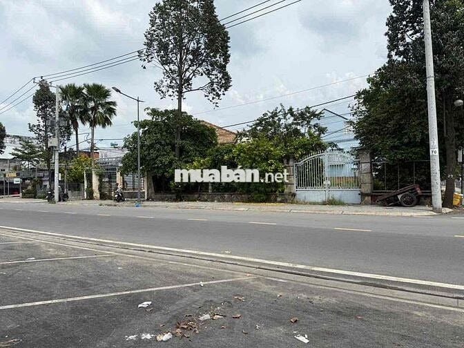 Cho thuê mặt bằng đất trống 3 Mặt Tiền ngay Phố Đi Bộ Bạch Đằng