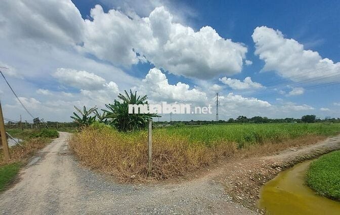Đất Bình Mỹ Củ Chi 800m2 gần Vành Đai 3