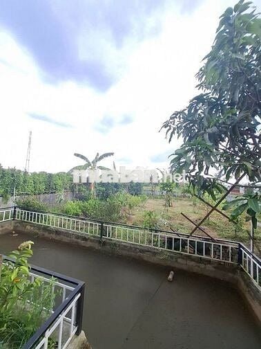 Nhà vườn Bình Mỹ - Củ Chi : 500m2 - SHR - 2 mặt tiền . Giá 2 tỷ