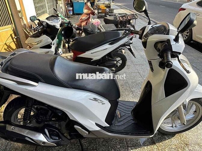 sh 2019 hàng bỏ mẫu đúng 2019